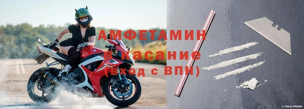 СК Новозыбков