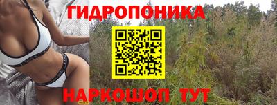 эйфоретик Берёзовский