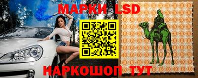 эйфоретик Берёзовский