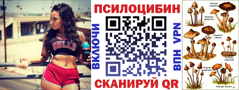 Галлюциногенные грибы мухоморы  купить наркотик  Канск 