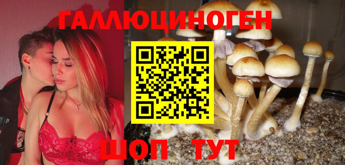 Канск  Псилоцибиновые грибы Psilocybe  Вход с VPN 